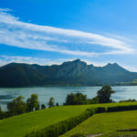 Herzlich willkommen in Enzinland.
