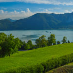 Herzlich willkommen in Enzinland.