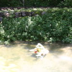 Freizeitpark Ruhpolding