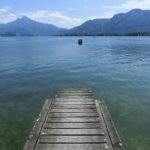 Herzlich willkommen in Enzinland.