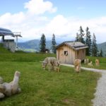 Kinderalm Wagrain Enzianland
