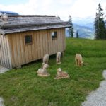 Kinderalm Wagrain Enzianland