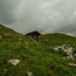 Wildsee Enzianland
