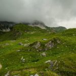 Wildsee Enzianland