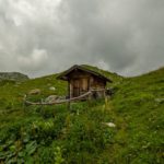 Wildsee Enzianland
