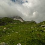 Wildsee Enzianland
