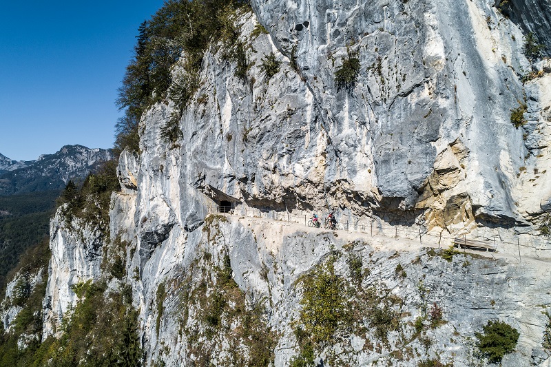 Salzkammergut  - Enzianland
