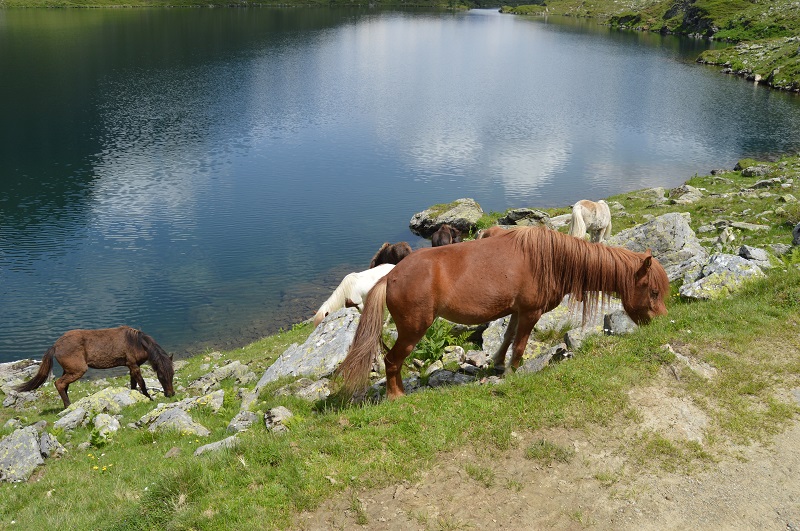Giglachsee (5)