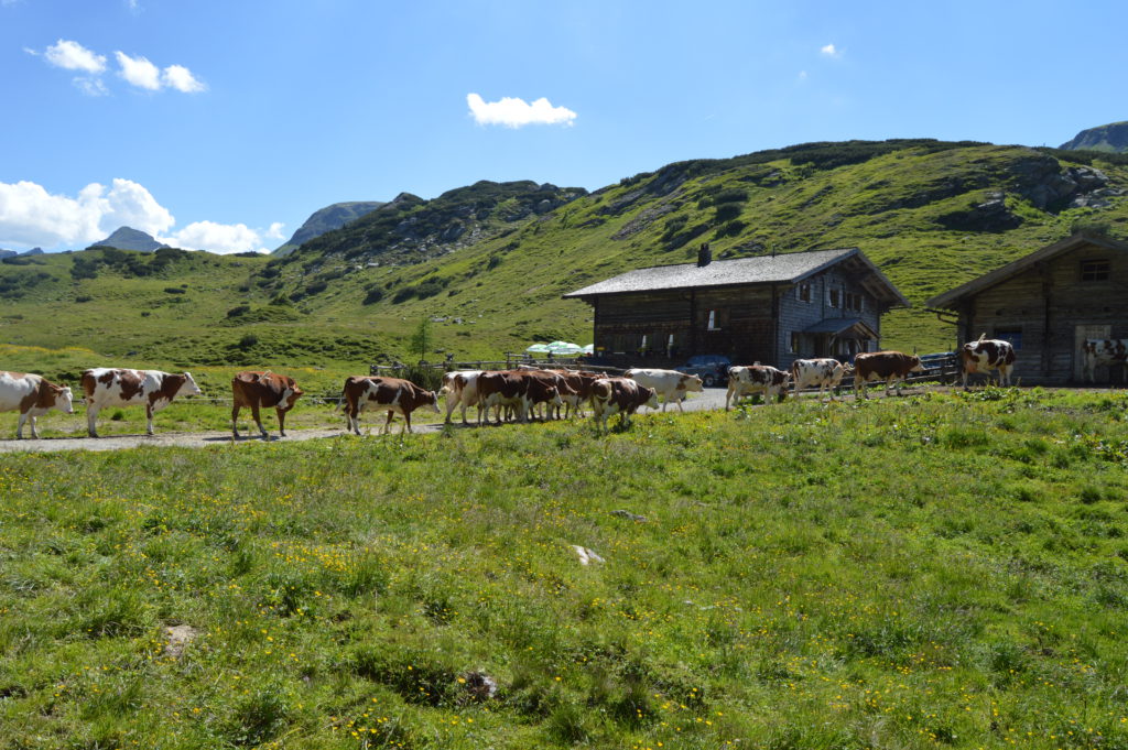 Oberhutte (126)
