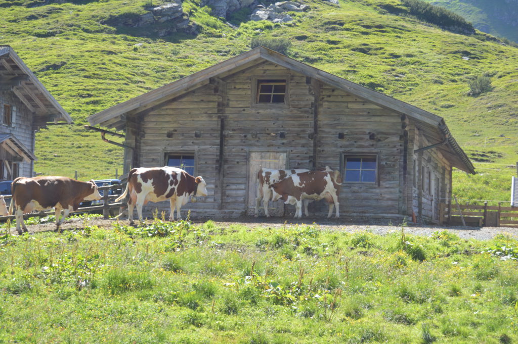 Oberhutte (127)