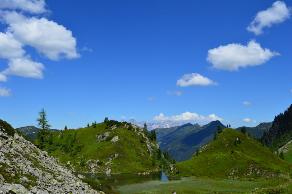 Oberhutte (46)