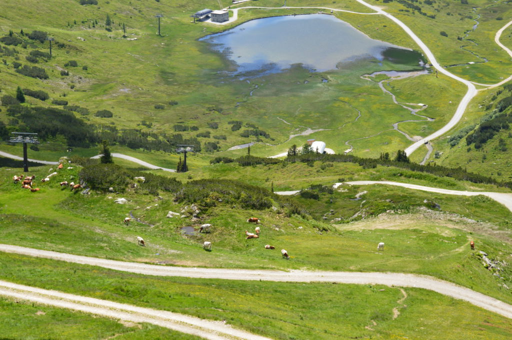 Oberhutte (84)