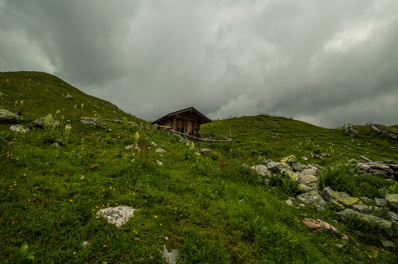 Wildsee (1)