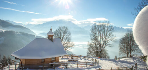 Zell am See - Enzianland